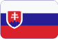 C.H.S. ENTERPRISES, INC., organizační složka Slovensky